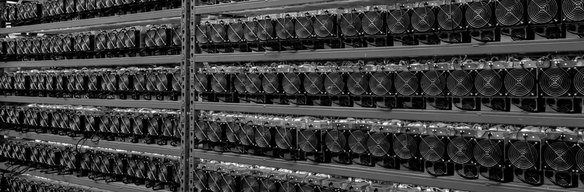 A wall of Bitcoin ASIC miners hashing in our data center
